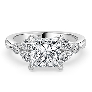 The Romantic Princess Cut